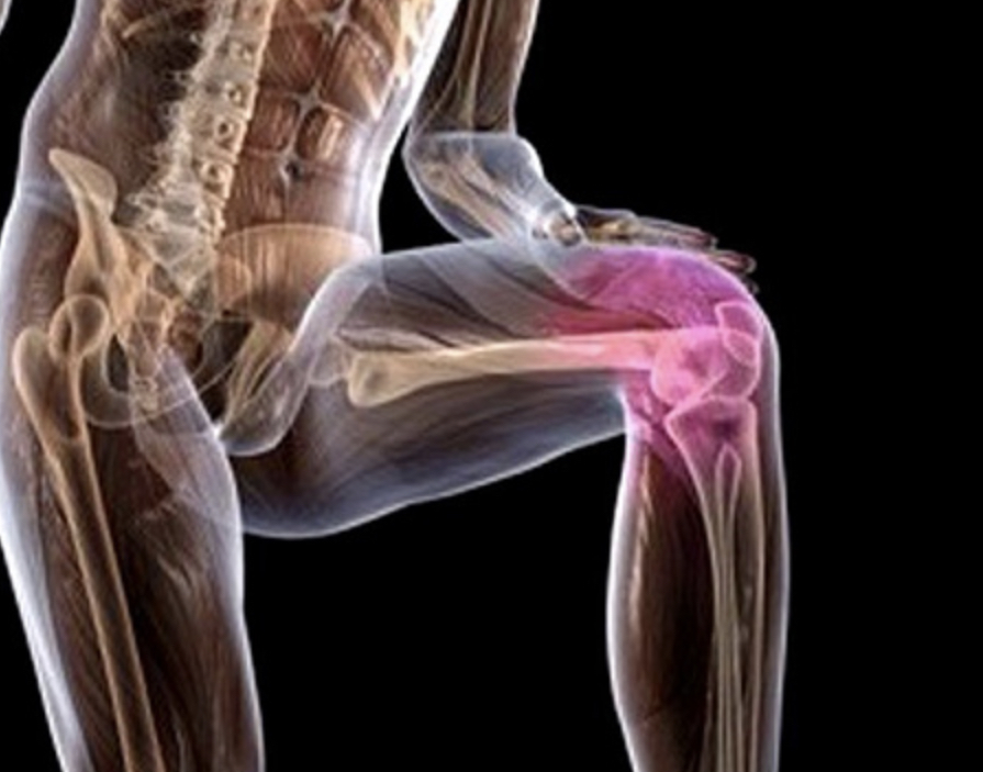 Pola Makan Berbasis Makanan Utuh untuk Mendukung Struktur Rangka